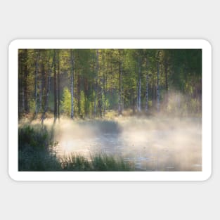 Small forest pond at sunrise Sticker